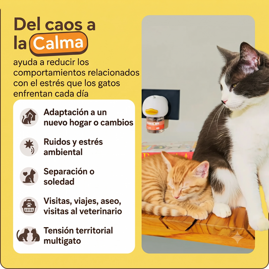 Difusor SereniCat™