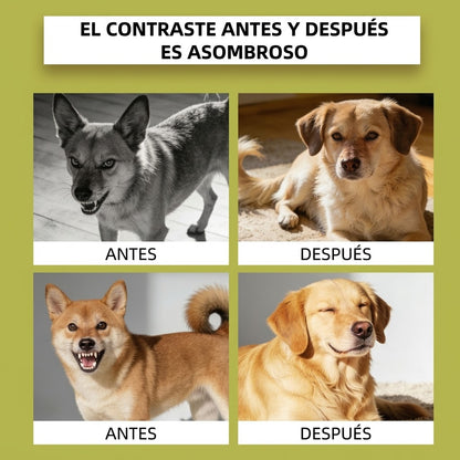 Difusor Furriyo para Perros